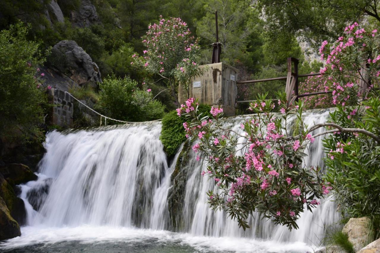Casa Rural Altaret Callosa de Ensarriá Dış mekan fotoğraf