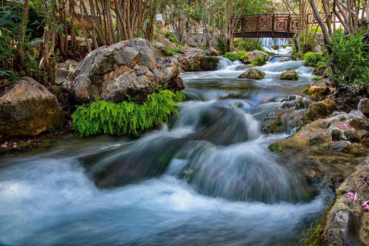 Casa Rural Altaret Callosa de Ensarriá Dış mekan fotoğraf