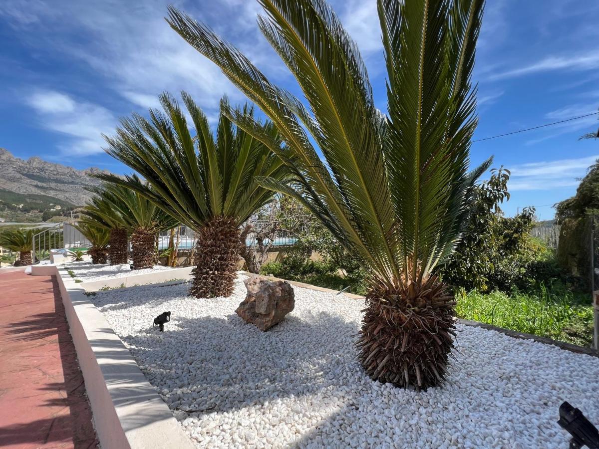 Casa Rural Altaret Callosa de Ensarriá Dış mekan fotoğraf